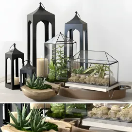 Pottery barn glass terrarium
